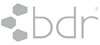 bdr The Medical Beauty Concept Logo
